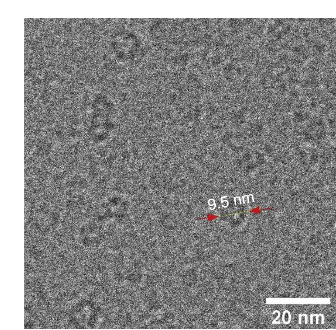 Open access visualization of Microscopy, L-proline, Nu2, Nanoparticles