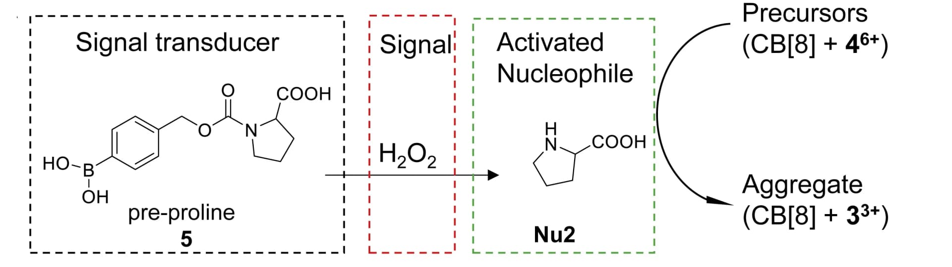 Open access visualization of Workflow, Chemical Structure, Design