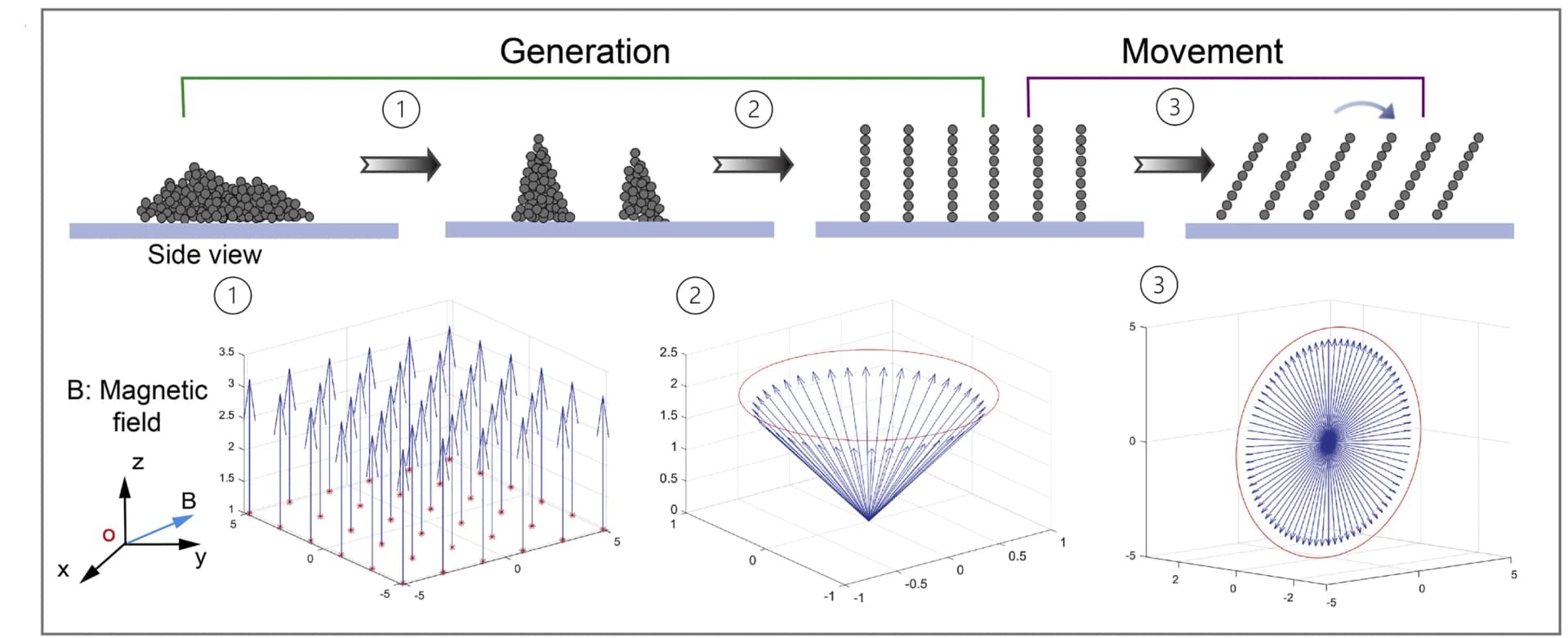 Open access visualization of Workflow, Illustration, 3D Plot, Cilia, Magnetic Fields