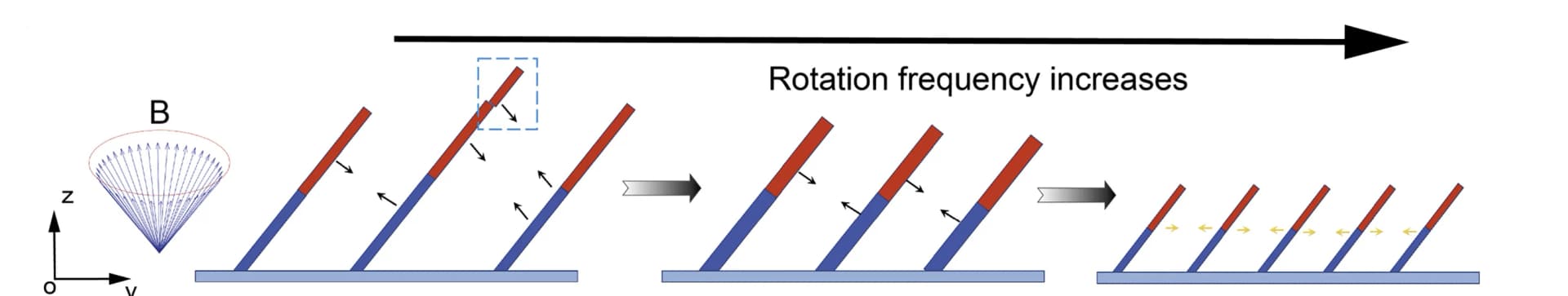 Open access visualization of Workflow, Illustration, Cilia-like Swarms, Dynamic Reconfiguration, Magnetic Field