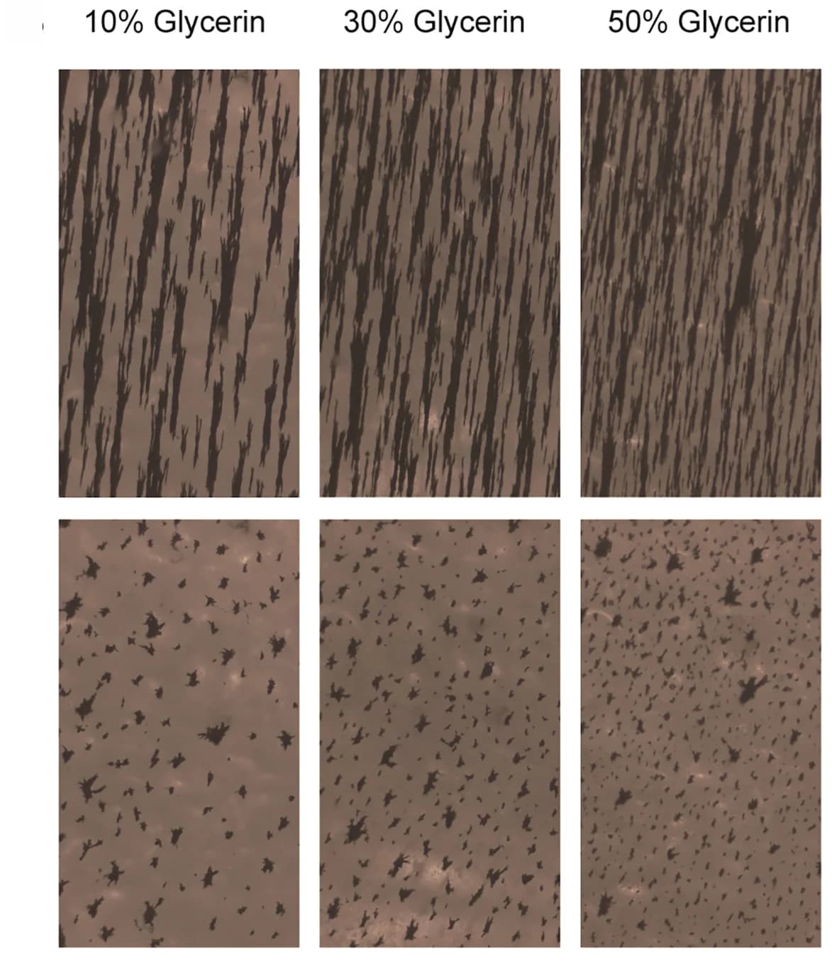 Open access visualization of Microscopy, Photo, Generated Swarms, Fluids, Viscosities
