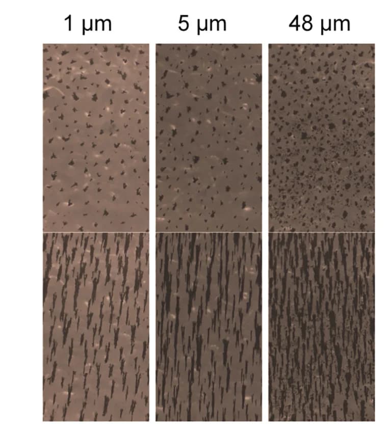 Open access visualization of Microscopy, Generated Swarms, Fluids, Particle Size, Experimental Results