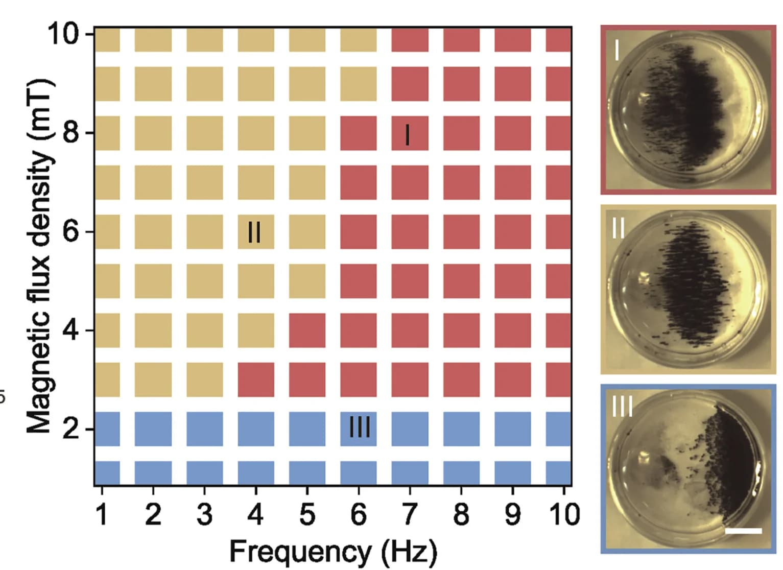 Open access visualization of Heatmap, Photo, Phase Diagram, Cilia-like Swarm Patterns, Controlled Movement