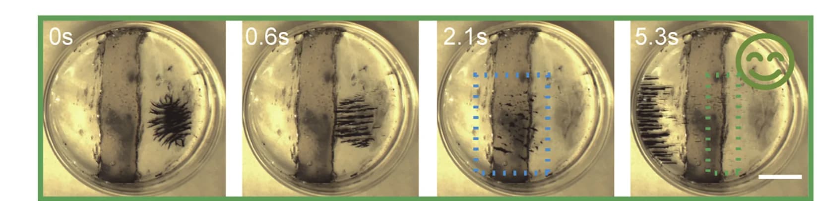 Open access visualization of Photo, Cilia-like Swarms, Obstacle Climbing, Acute Slope, Experimental Images