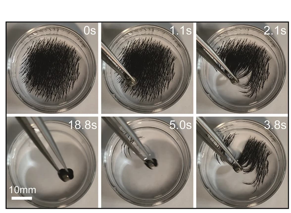 Open access visualization of Photo, Magnetic Particles, Recycling