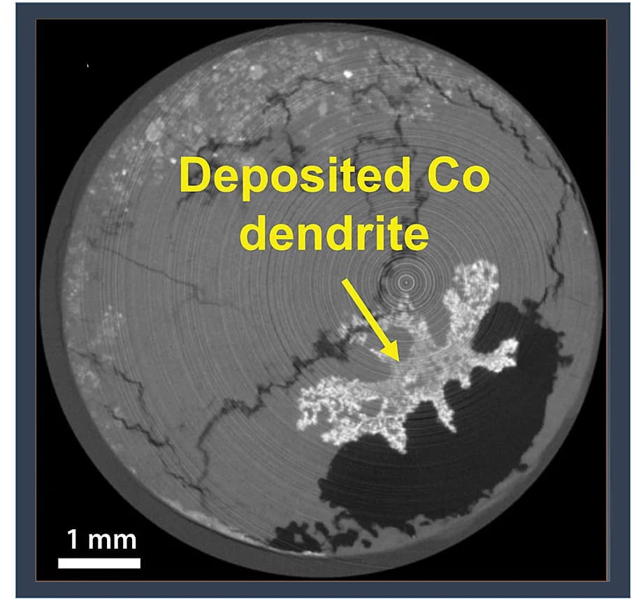 Open access visualization of Microscopy, LKE, LiCoO2, Cobalt Metal, Microstructures