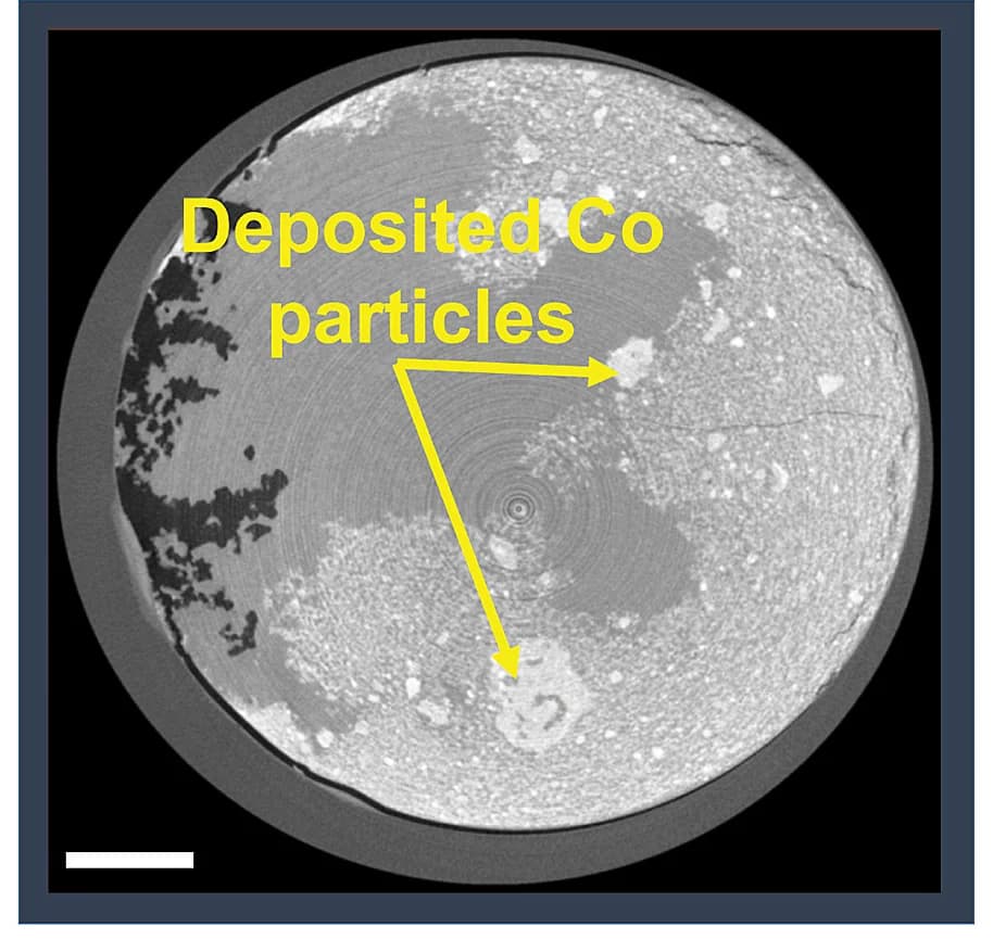 Open access visualization of Microscopy, LKE, LiCoO2, Cobalt Metal, Microstructures