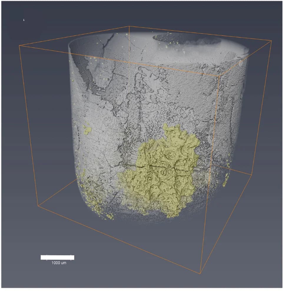 Open access visualization of 3D Plot, Co Metal, Morphologies, Volume Renderings, LKE Materials