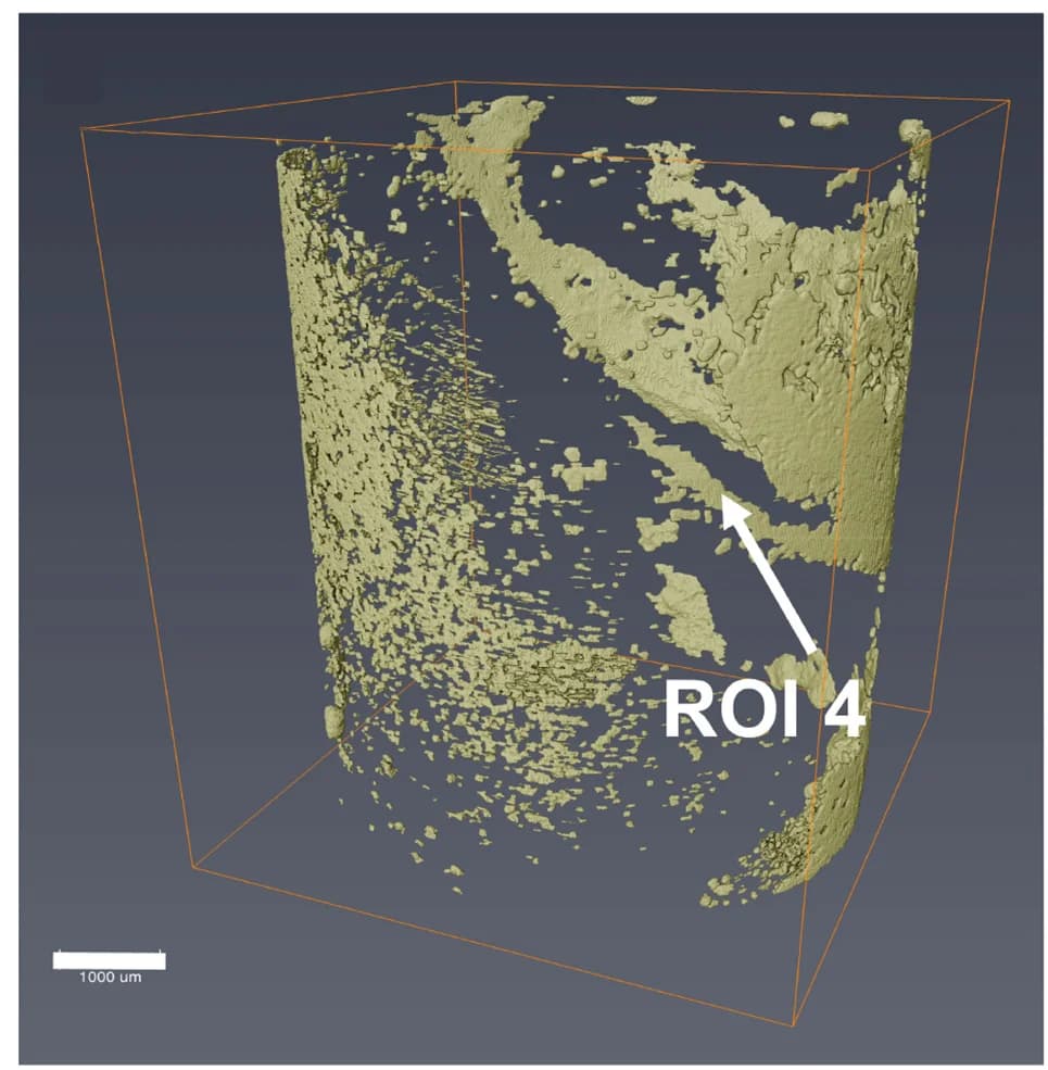 Open access visualization of 3D Plot, Co Metal, Co Distribution, LKE Materials, Co Bulk
