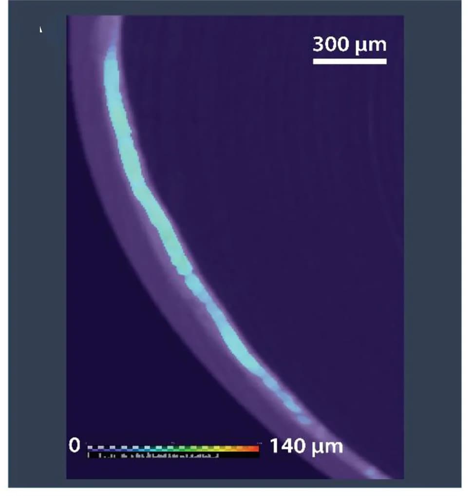 Open access visualization of Microscopy, Thickness Distribution, Cobalt, 2D