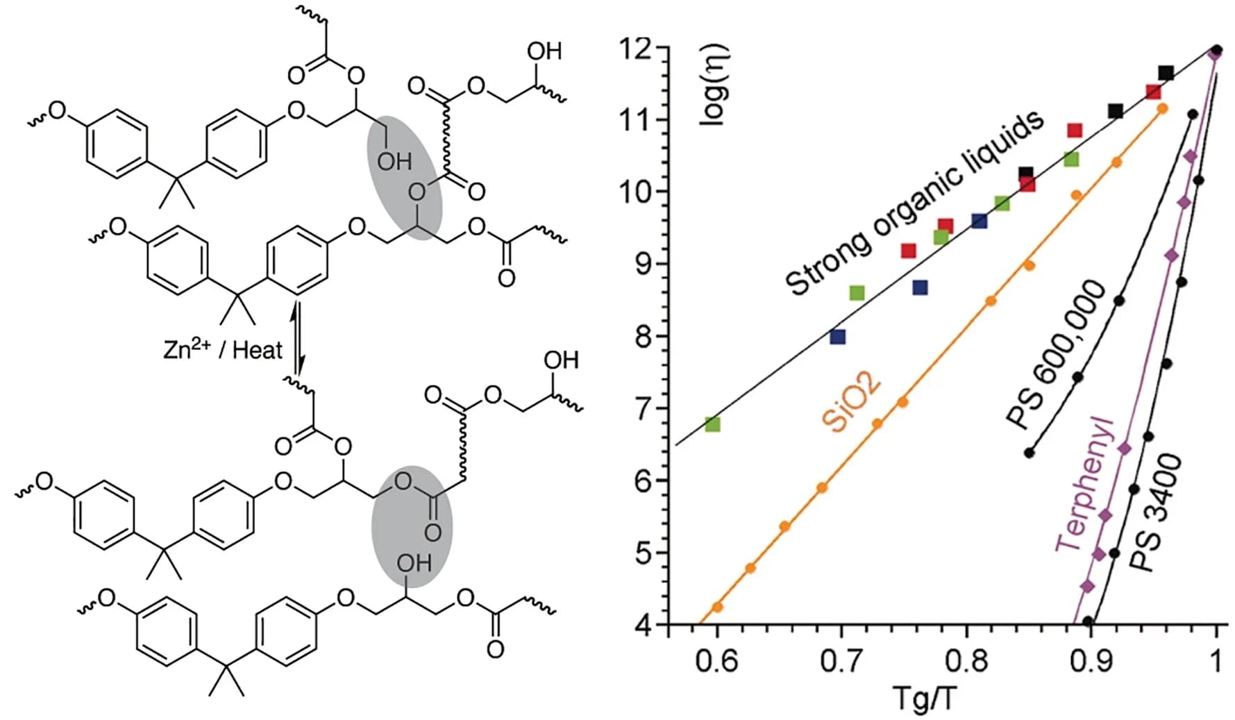 Open access visualization of Line Plot, Scatter Plot, Transesterification, Viscosity, Inverse Temperature