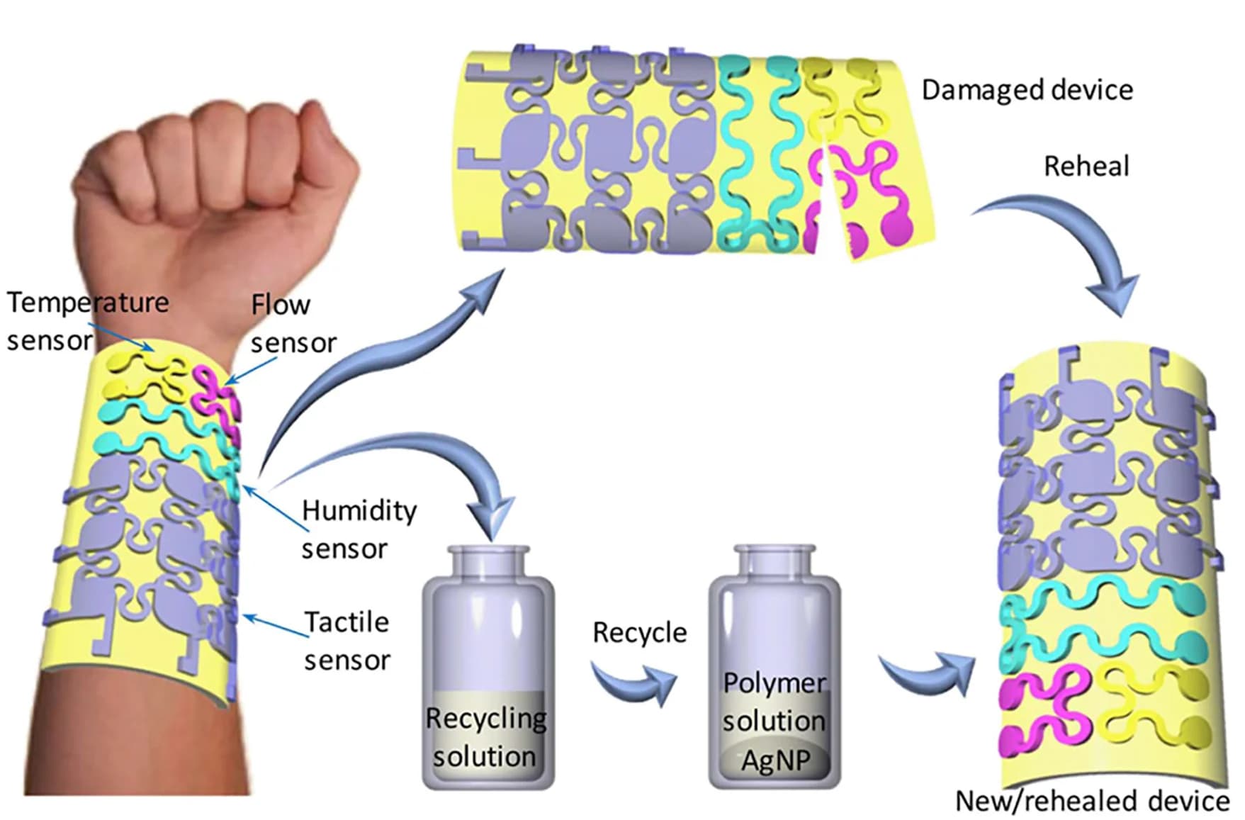 Open access visualization of Workflow, Illustration, E-skin, Rigid Polyimine, Schematic Illustration