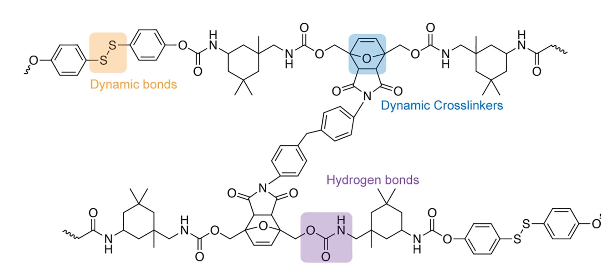 Open access visualization of Chemical Structure, Molecular Structure, PFU, Dynamic DA Reaction, Disulfide Bond