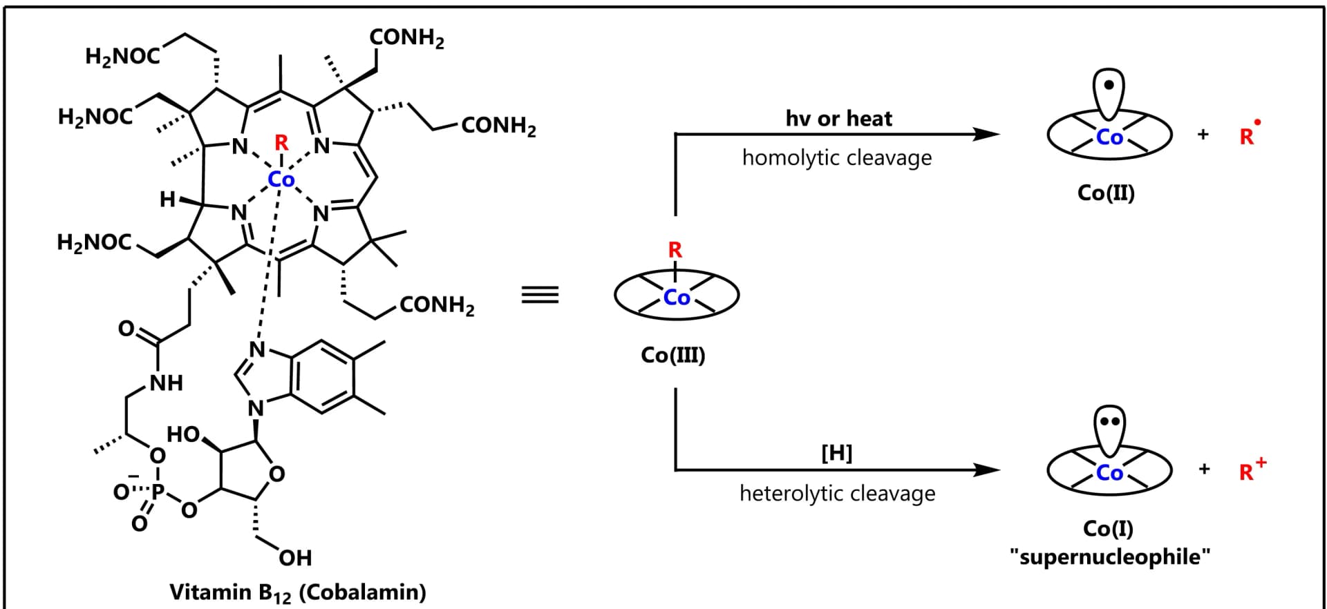 Open access visualization of Chemical Structure, Workflow, Vitamin B12, Structure, Reactivity