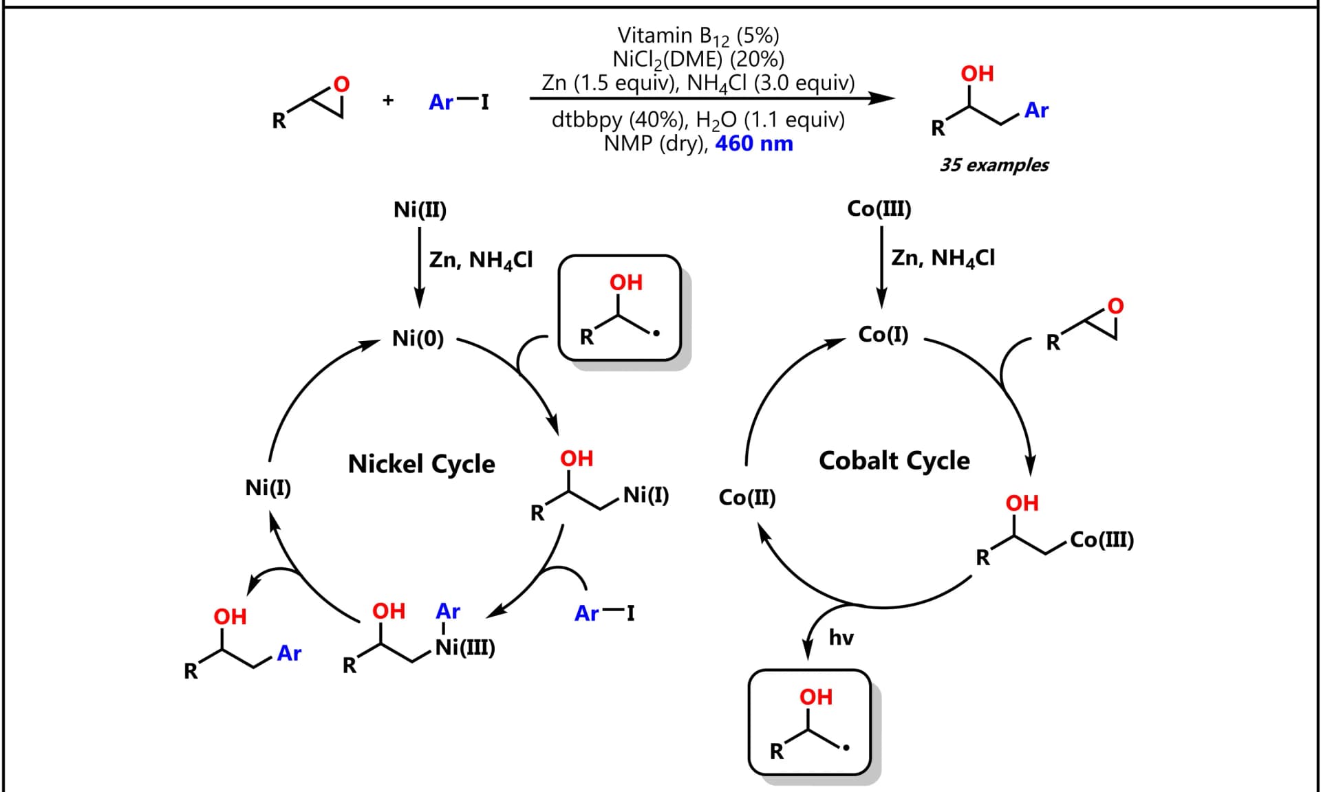 Open access visualization of Workflow, Flowchart, Vitamin B12, Catalysis, Epoxide