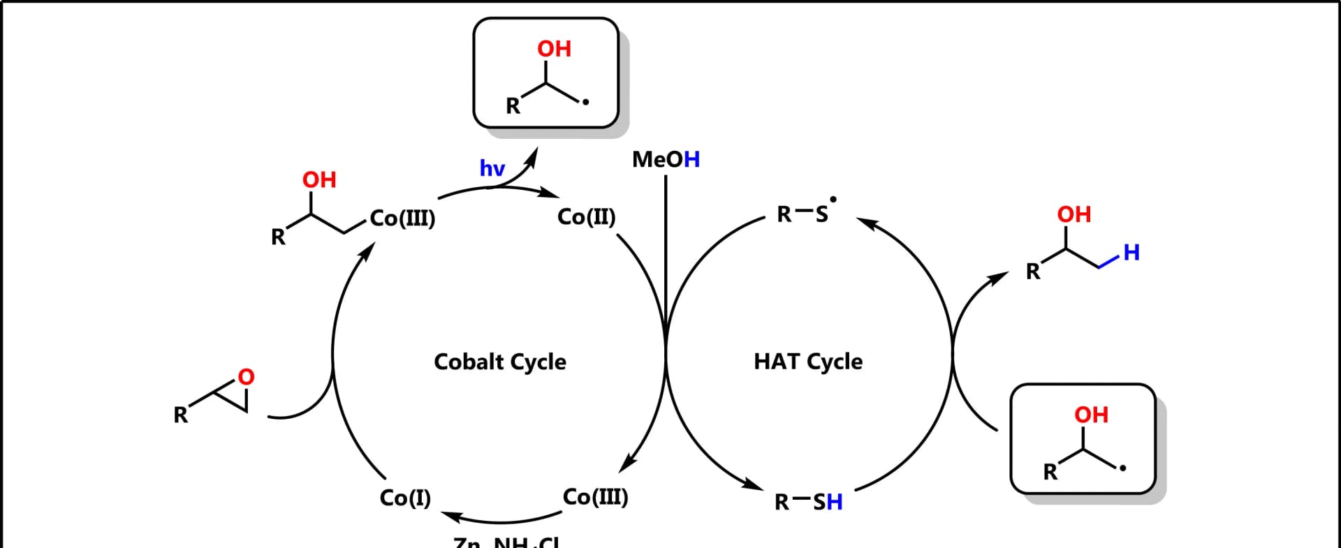 Open access visualization of Workflow, Flowchart, Mechanism, Experimental Procedures