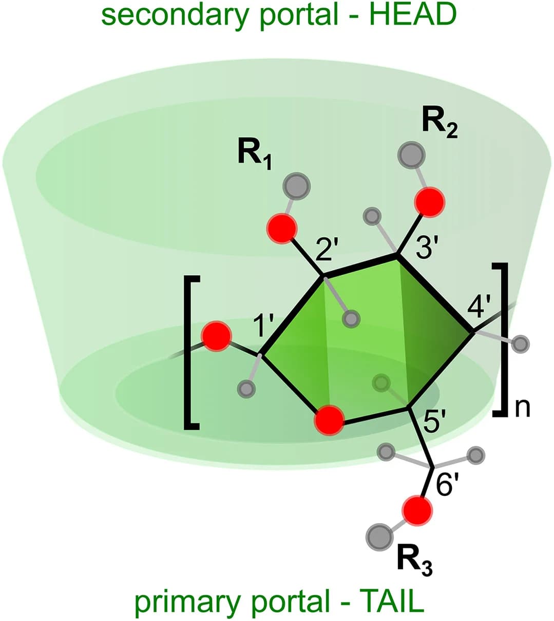 Open access visualization of Chemical Structure, Cyclodextrin, Methylated Cyclodextrin, Macrocycles, Schematic structure