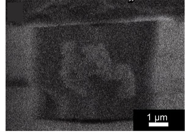 Open access visualization of Microscopy, SEM Images