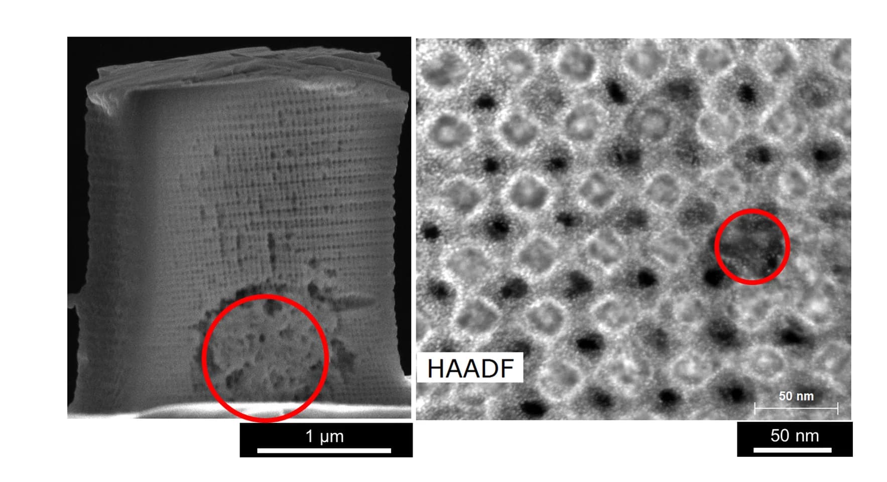 Open access visualization of Microscopy, Cross-section Image, Nanolattice, Voids, Disordered Regions