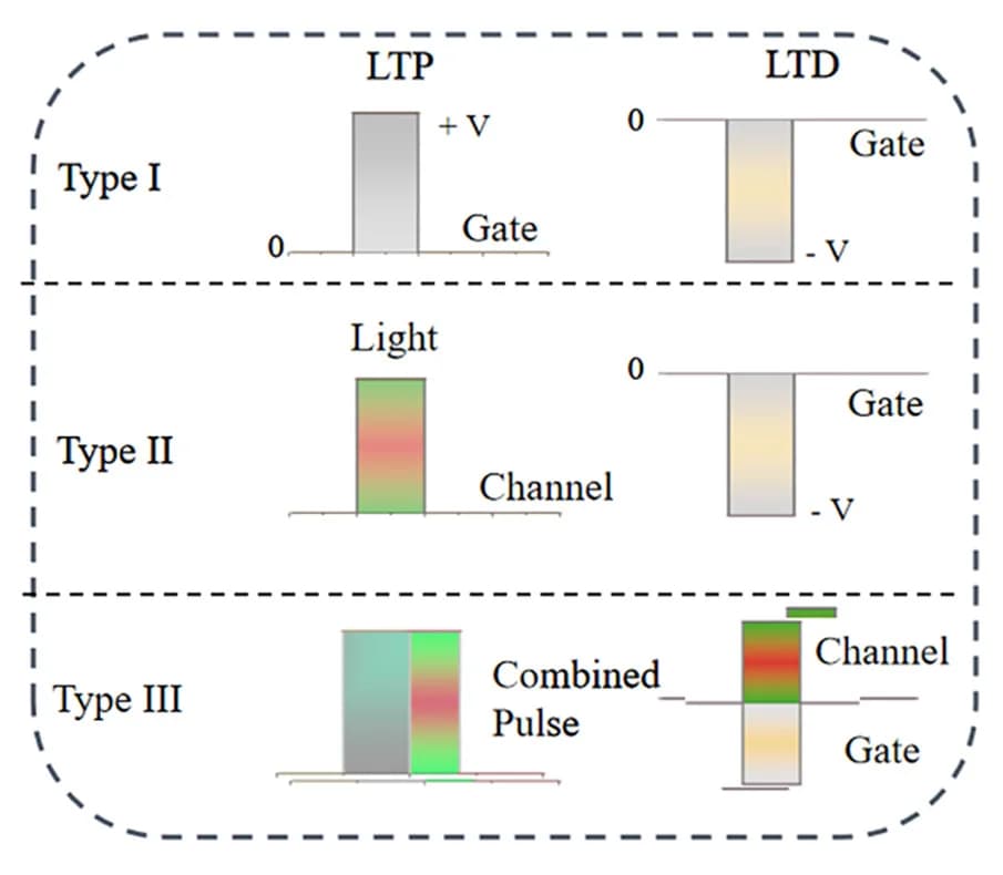 Open access visualization of Bar Plot, Pulse Types, Electrical Stimulation, Optical Stimulation