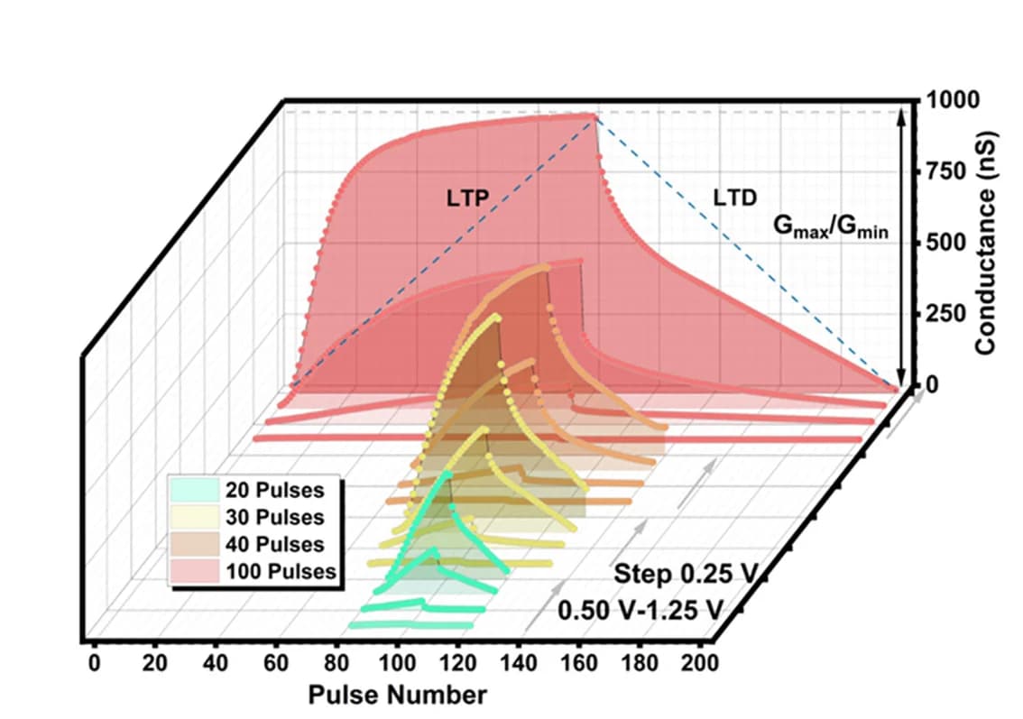 Open access visualization of 3D Plot, LTP, LTD, Electric Pulse, Pulse Amplitude