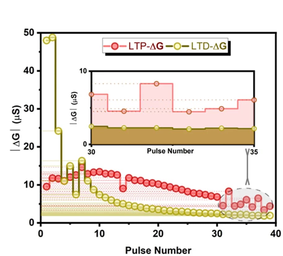 Open access visualization of Line Plot, Line Step, LTP, LTD, Electrical Stimulation