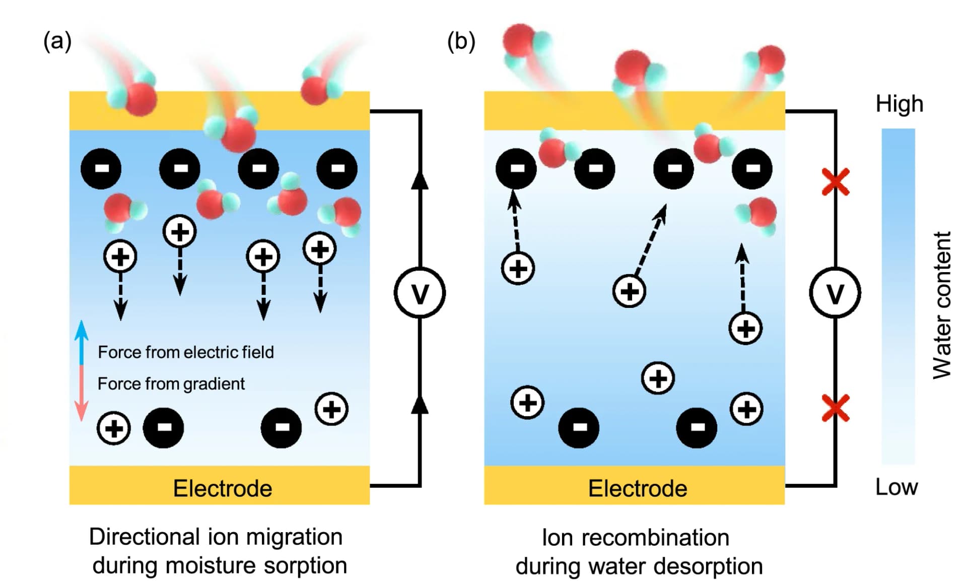 Open access visualization of Illustration, Flowchart, Moisture-enabled Electricity Generation, Ion Migration, Moisture Sorption