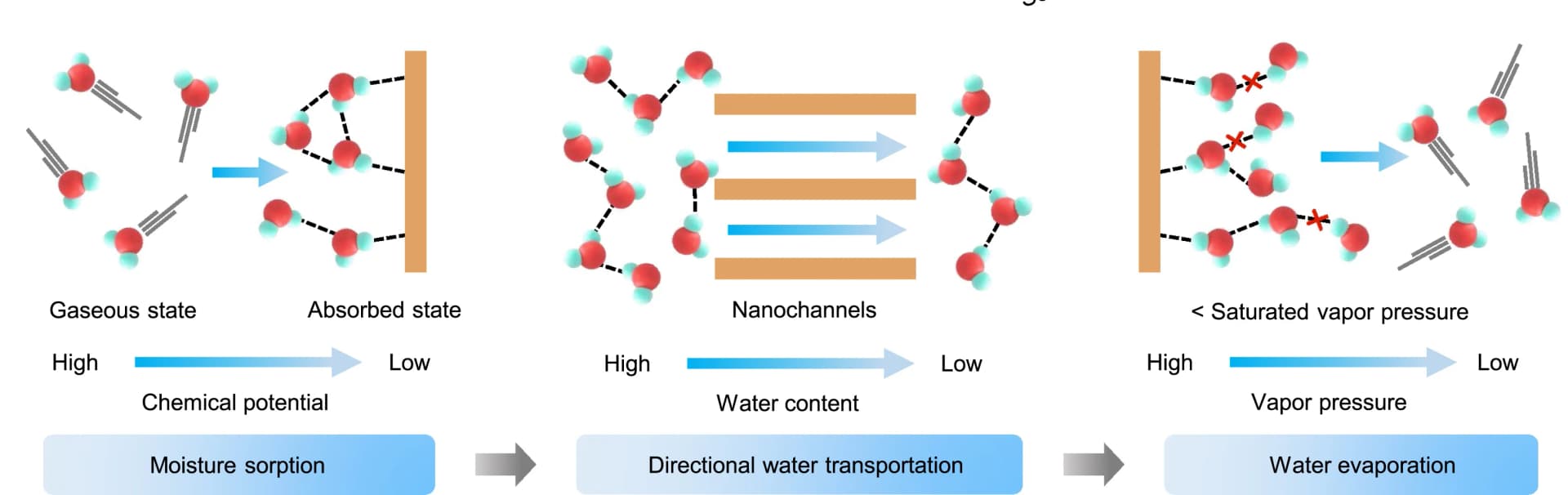 Open access visualization of Workflow, Illustration, Moisture Sorption, Directional Transportation, Natural Evaporation