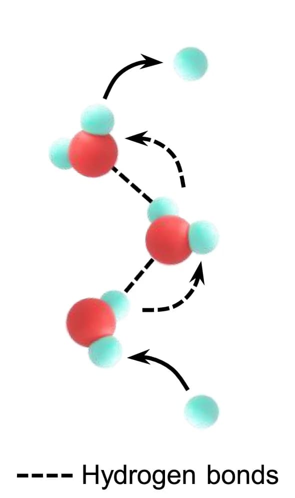 Open access visualization of Illustration, Chemical Structure, Proton transport, Hydrogen bonds, Liquid water