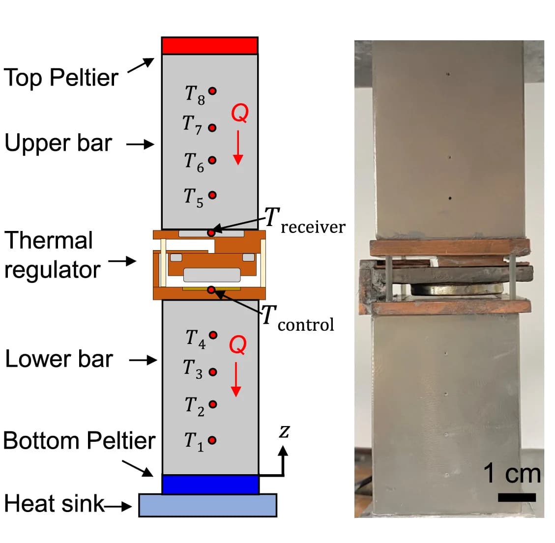 Open access visualization of Illustration, Photo, Schematic, Optical Image, Reference Bar