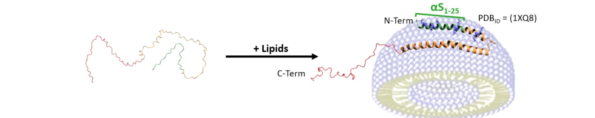 Open access visualization of Illustration, Chemical Structure, Workflow, IDP, Solution