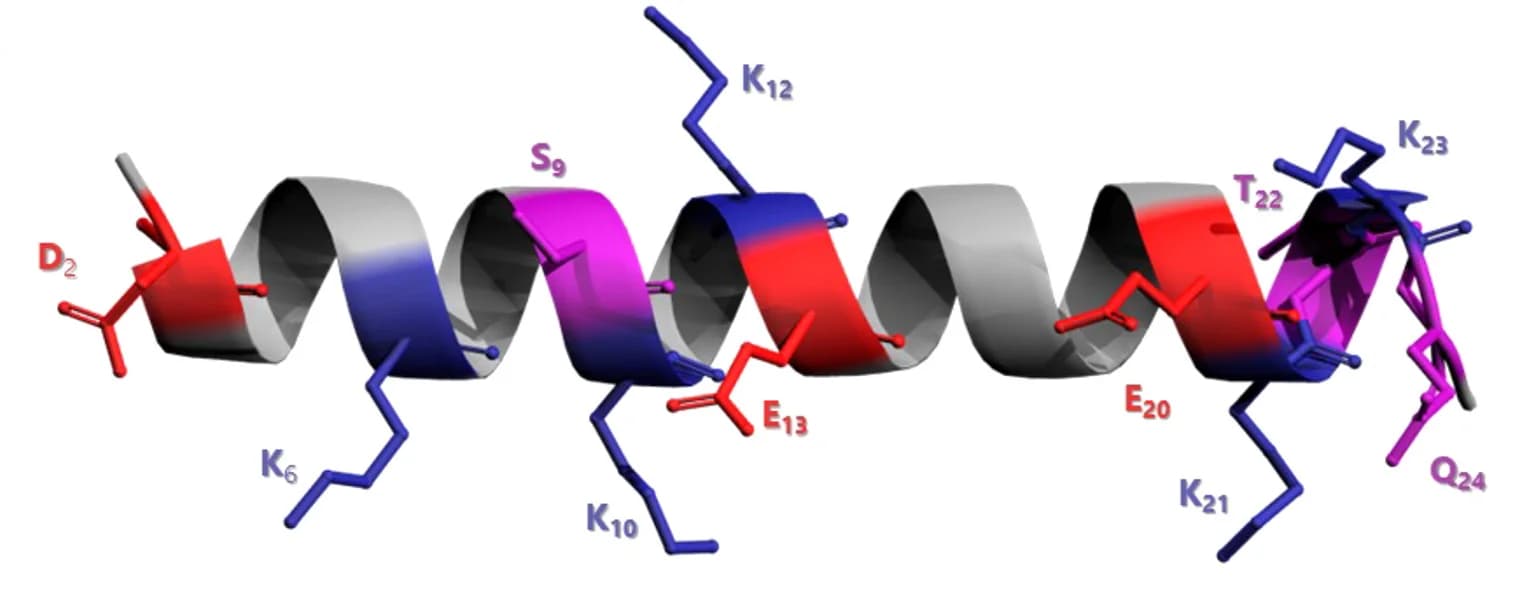 Open access visualization of Protein Structure, Chemical Structure, AlphaS1-25, Residues