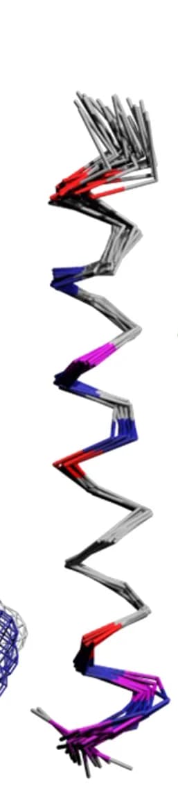Open access visualization of Protein Structure, Chemical Structure, Protein Models, AlphaS1-25