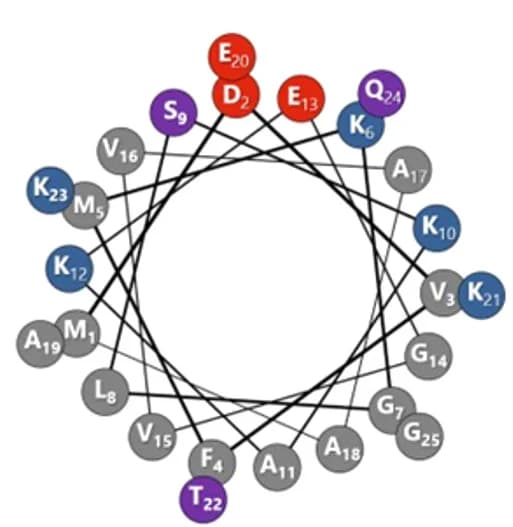 Open access visualization of Network, Helical Wheel Projection, AlphaS1-25, Amphipathic