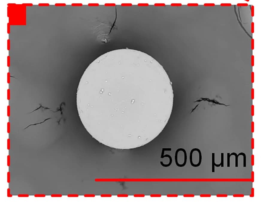 Open access visualization of Microscopy, SEM Image, Microcapsule