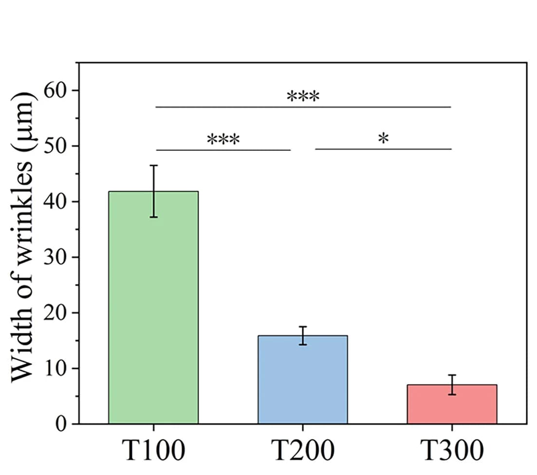 Open access visualization of Bar Plot, Error Bars, Fold Width, Hydrogel Surface, Twisting Angles