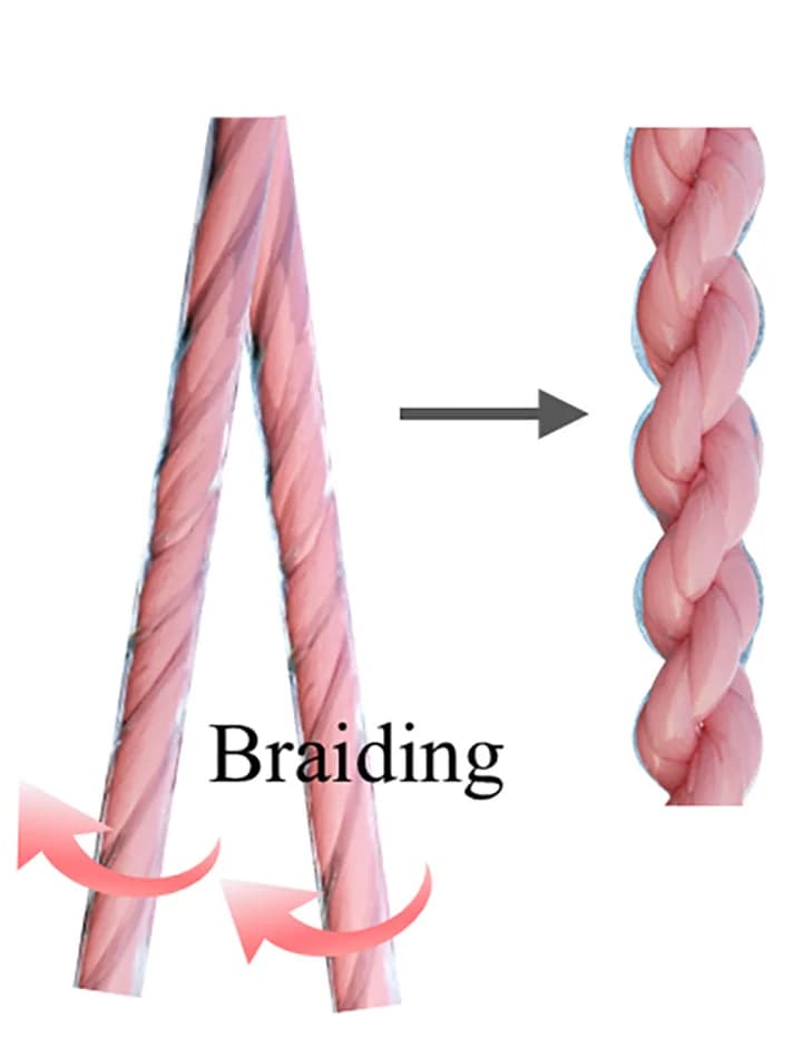 Open access visualization of Illustration, Workflow, Collagen Hydrogels, Schematic Diagram