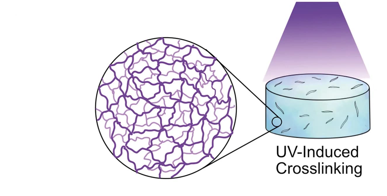 Open access visualization of Illustration, Polymer Networks, Crosslinking Method