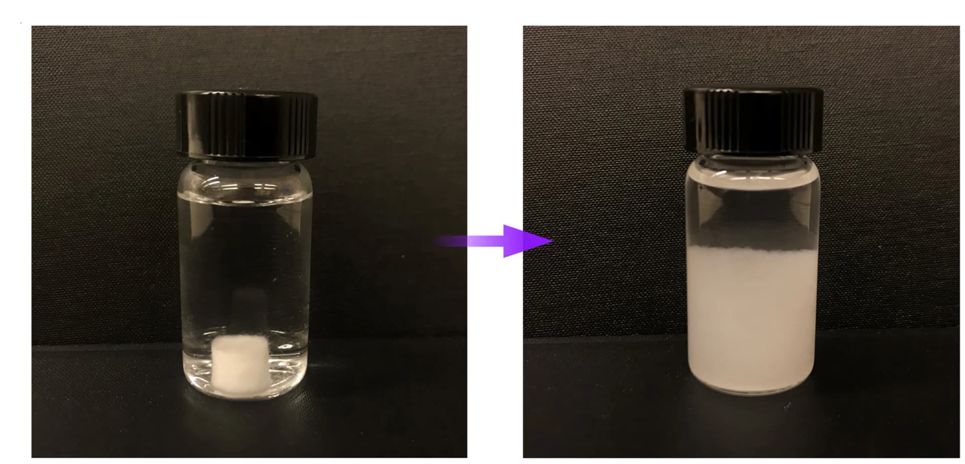 Open access visualization of Photo, Fiber-Reinforced Hydrogel, Hydrolysis