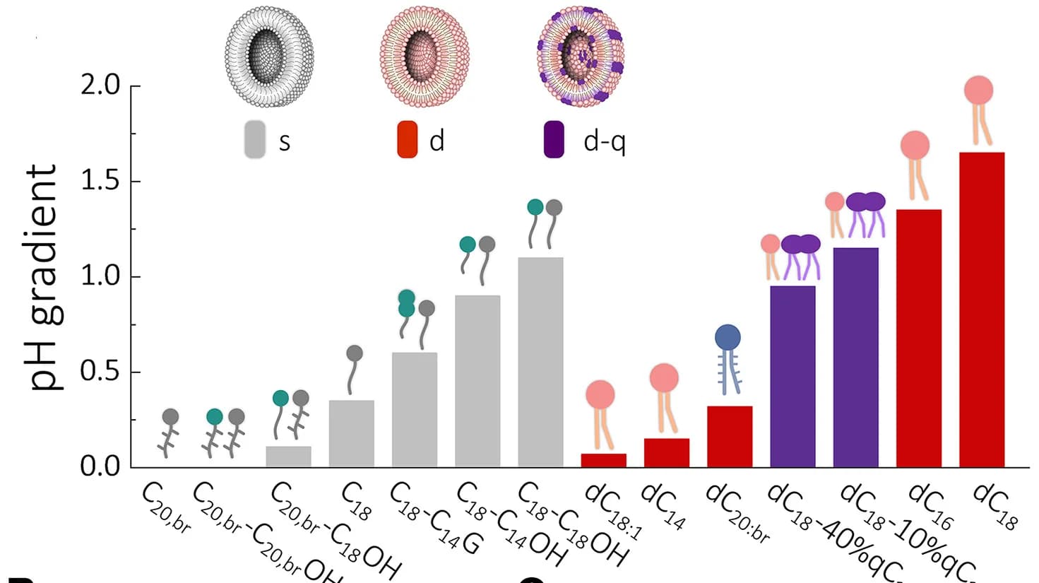 Open access visualization of Bar Plot, pH Gradients, Vesicles, Acid Bath, Fatty Acid