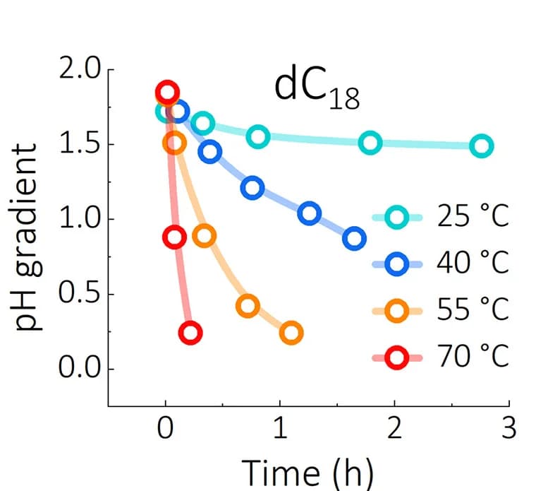 Open access visualization of Line Plot, pH Gradients, dC18 Vesicles, Temperature