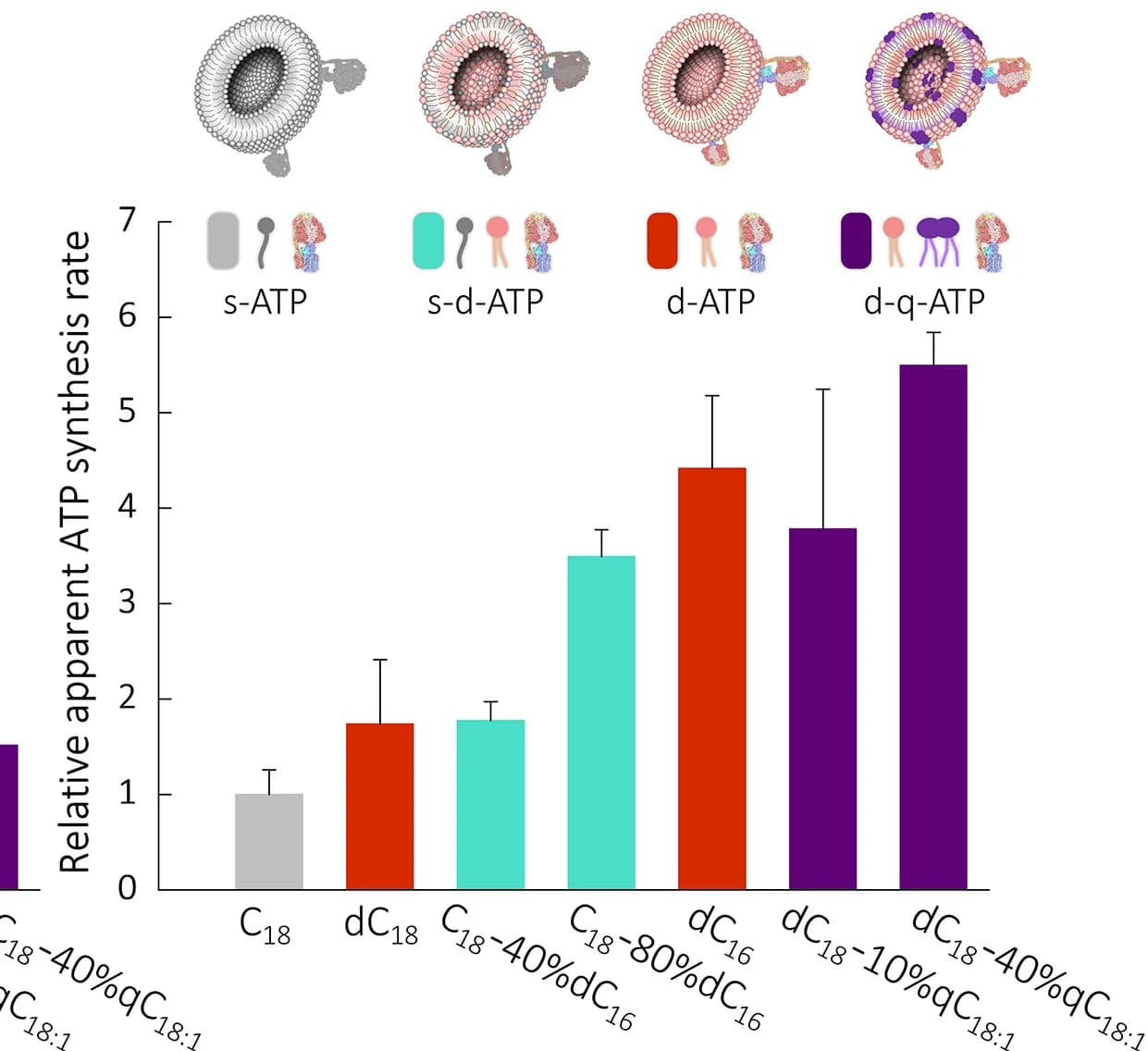 Open access visualization of Bar Plot, Error Bars, ATP Synthesis, Vesicles, ATP Synthase
