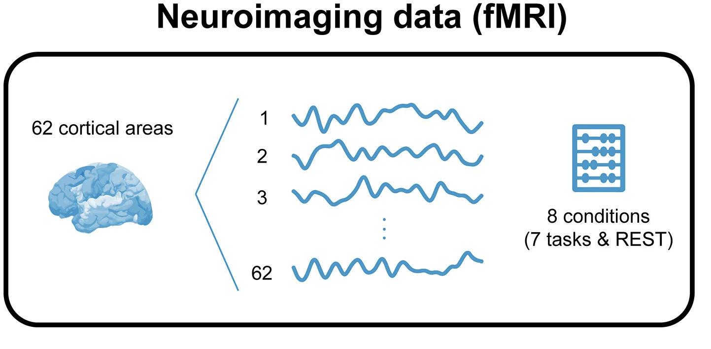 Open access visualization of Line Plot, Illustration, fMRI, HCP, Healthy Adults