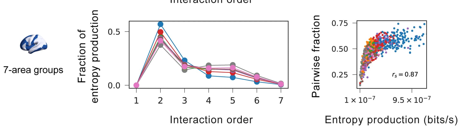 Open access visualization of Scatter Plot, Line Plot, Entropy Production, Interaction Orders, Brain Regions