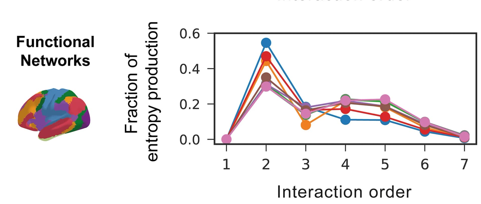 Open access visualization of Line Plot, 3D Plot, Functional RSNs, Non-Equilibrium, Interaction Orders