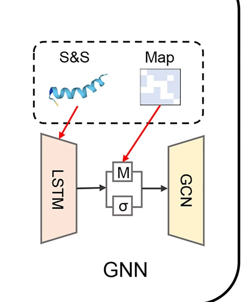 Open access visualization of Workflow, Flowchart, Protein Structure, Map, GNN