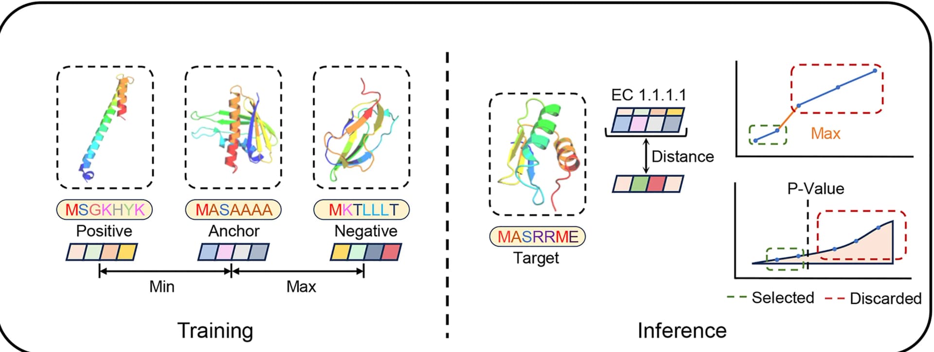 Open access visualization of Workflow, Line Plot, Protein Structure, Contrastive Learning, EC Number Prediction