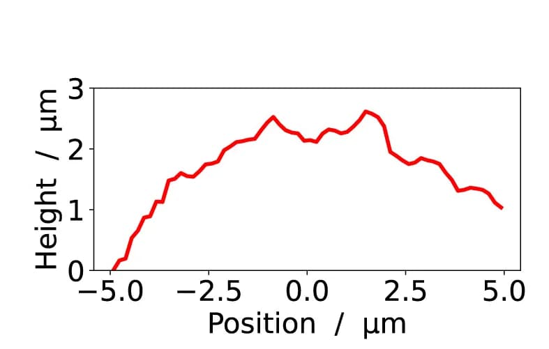Open access visualization of Line Plot, Surface Profile, Hemicyst