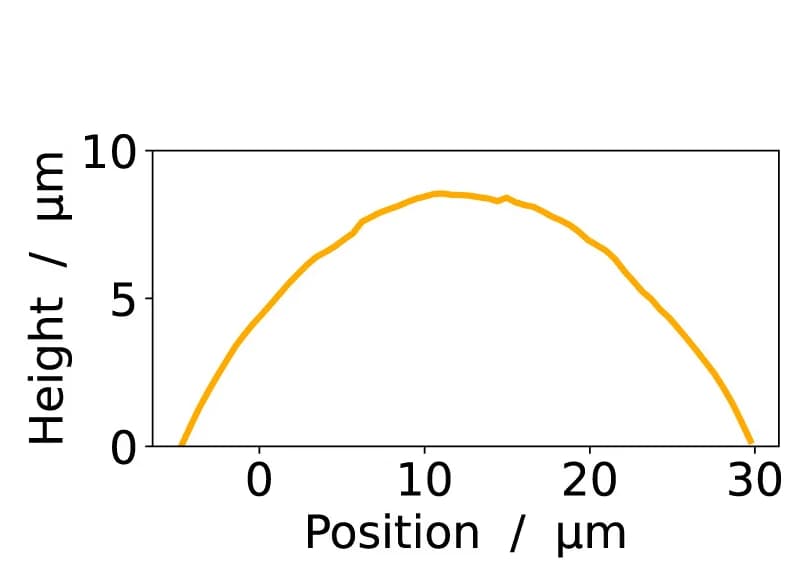 Open access visualization of Line Plot, Surface Profile, Cyst, Basolateral Membrane
