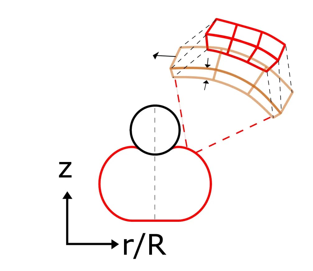 Open access visualization of Illustration, Experimental Setup, Indentation-Relaxation Curves, Cysts, Hemicysts